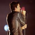 Brandon Flowers - The Desired Effect