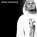 Dessar - Мизантроп