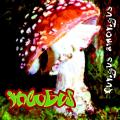 Incubus - Fungus Amongus