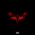 Lil' Wayne - I Am Not A Human Being II
