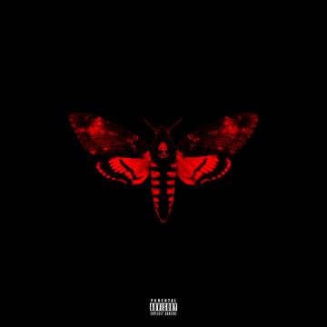 Lil' Wayne I Am Not A Human Being II